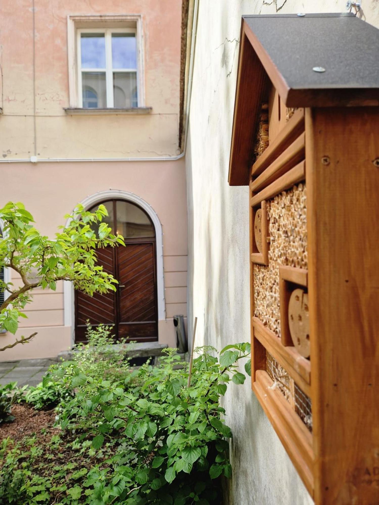 Brokilon House Διαμέρισμα Krasków Εξωτερικό φωτογραφία